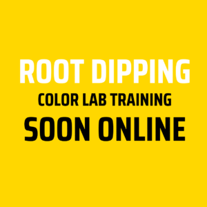ROOT DIPPING