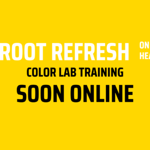 ROOT REFRESH ON HEAD